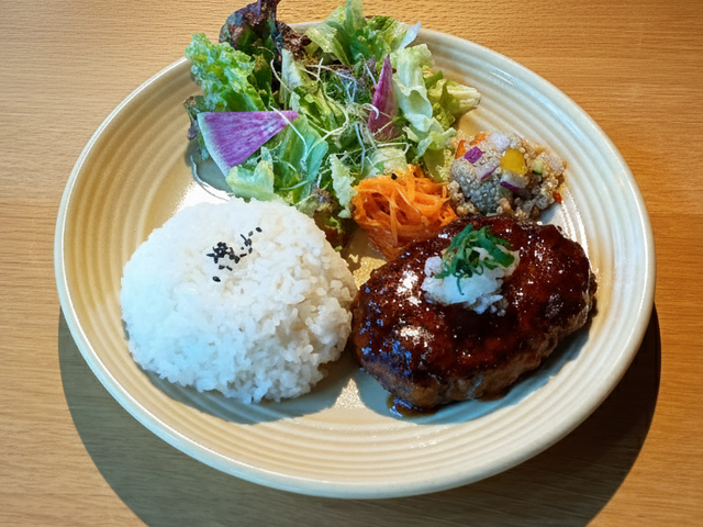 おろしハンバーグ四角